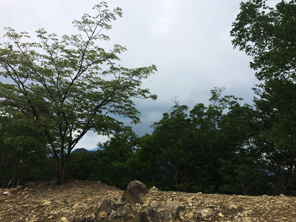 f:id:trail1048:20170626140126j:plain f:id:trail1048:20170626140126j:plain