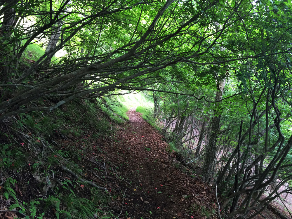 f:id:trail1048:20170626140737j:plain f:id:trail1048:20170626140737j:plain