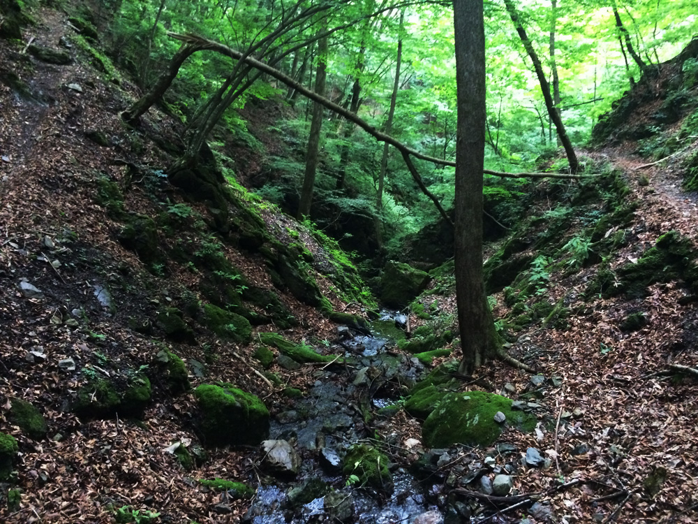 f:id:trail1048:20170626141146j:plain f:id:trail1048:20170626141146j:plain