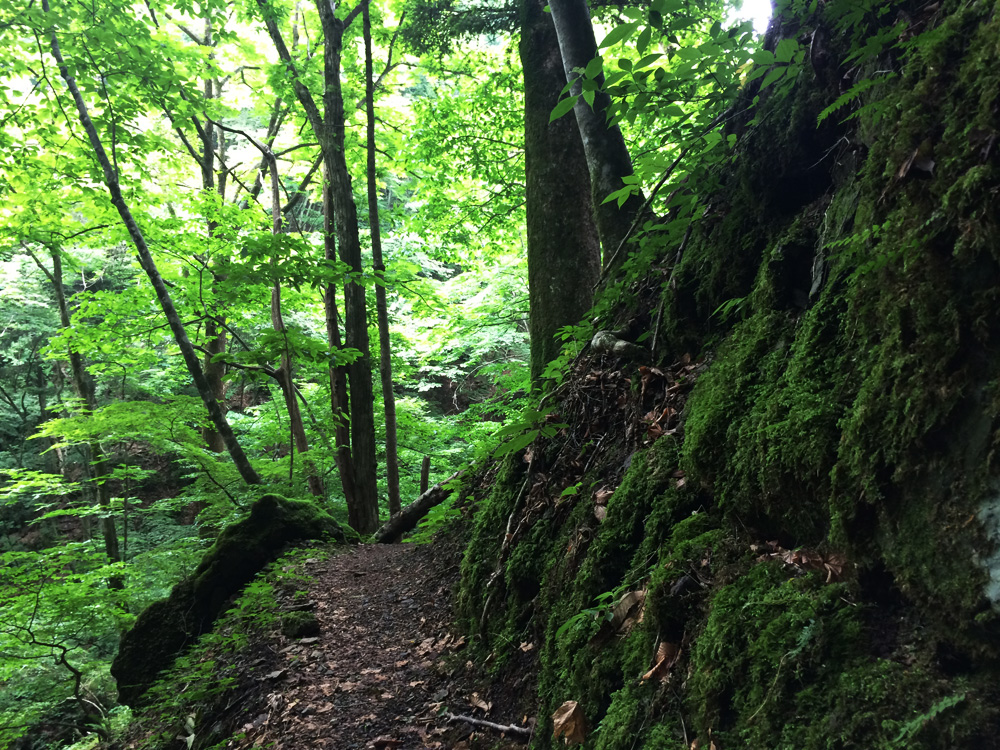 f:id:trail1048:20170626141149j:plain f:id:trail1048:20170626141149j:plain