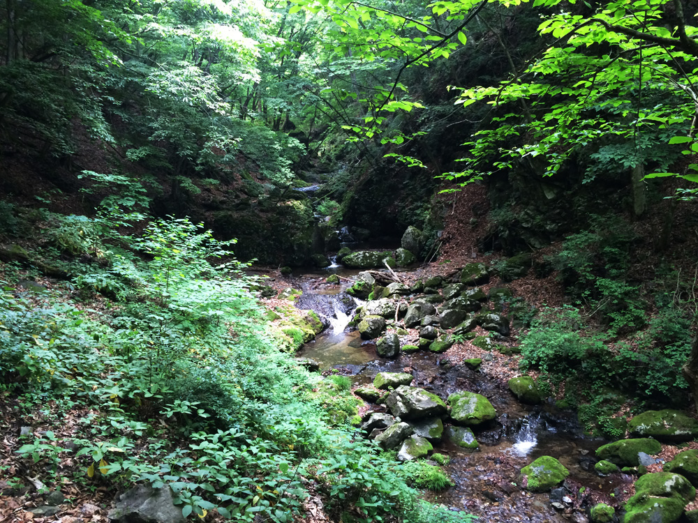 f:id:trail1048:20170626141156j:plain f:id:trail1048:20170626141156j:plain