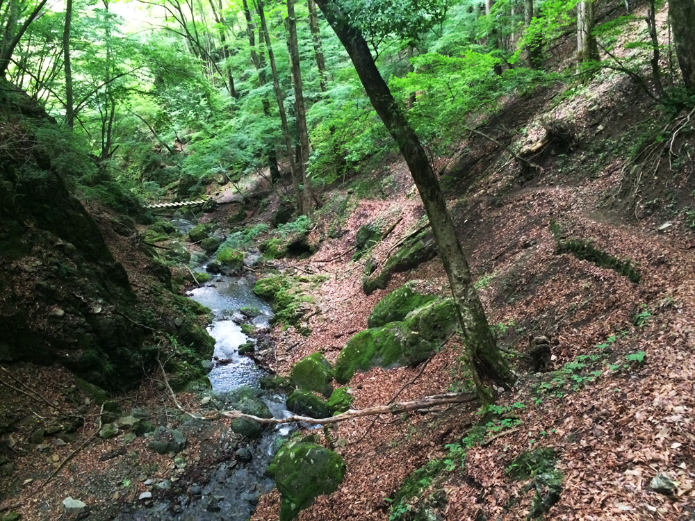 f:id:trail1048:20170626141515j:plain f:id:trail1048:20170626141515j:plain