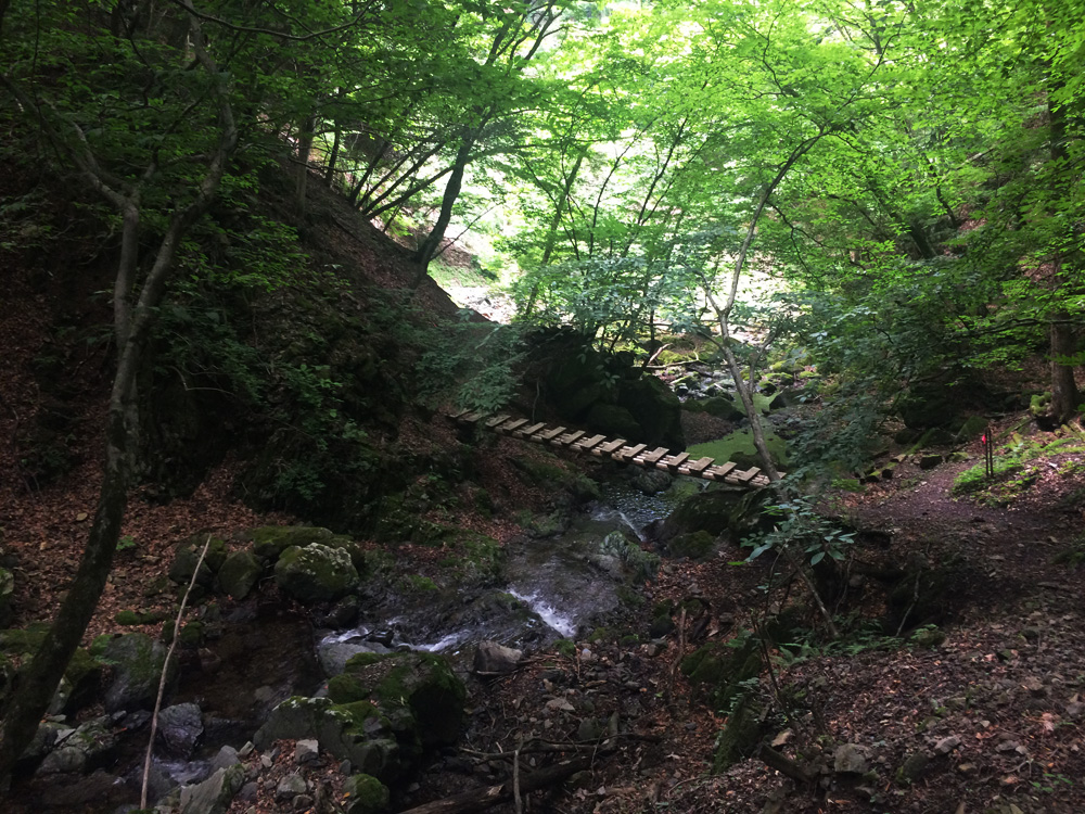 f:id:trail1048:20170626141522j:plain f:id:trail1048:20170626141522j:plain