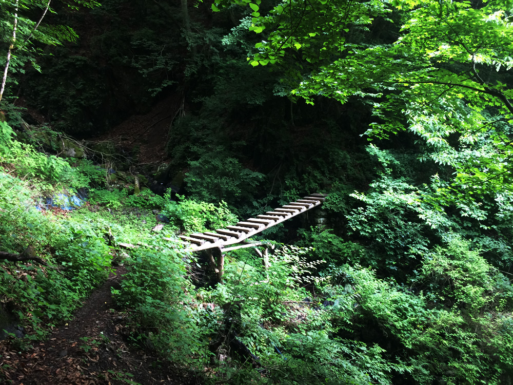 f:id:trail1048:20170626141633j:plain f:id:trail1048:20170626141633j:plain