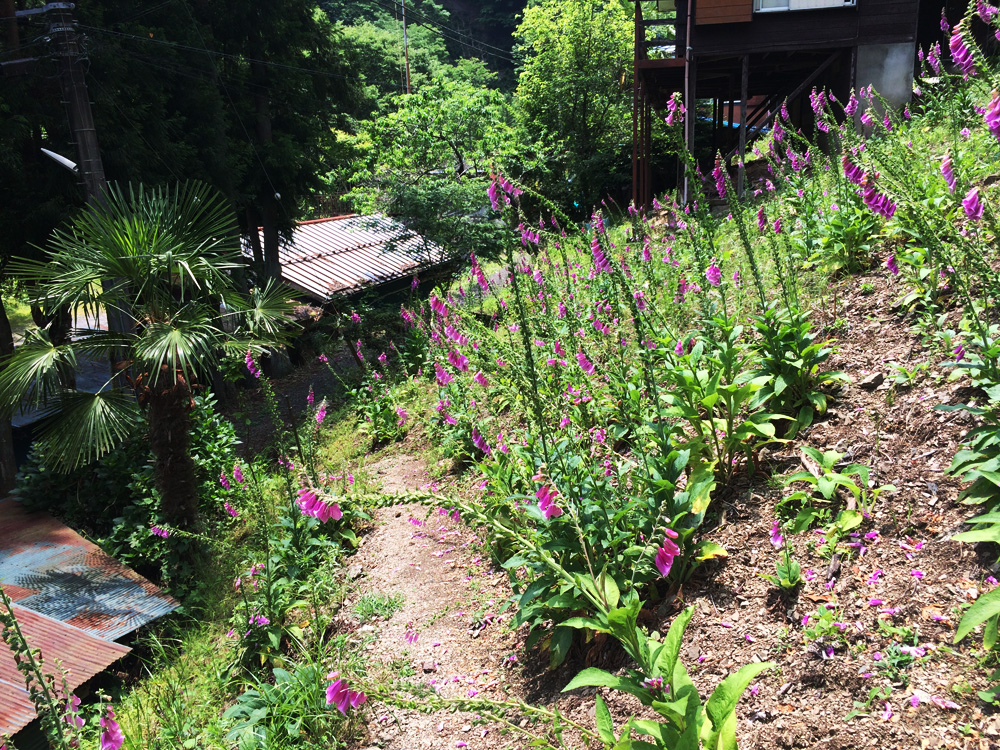 f:id:trail1048:20170626142000j:plain f:id:trail1048:20170626142000j:plain