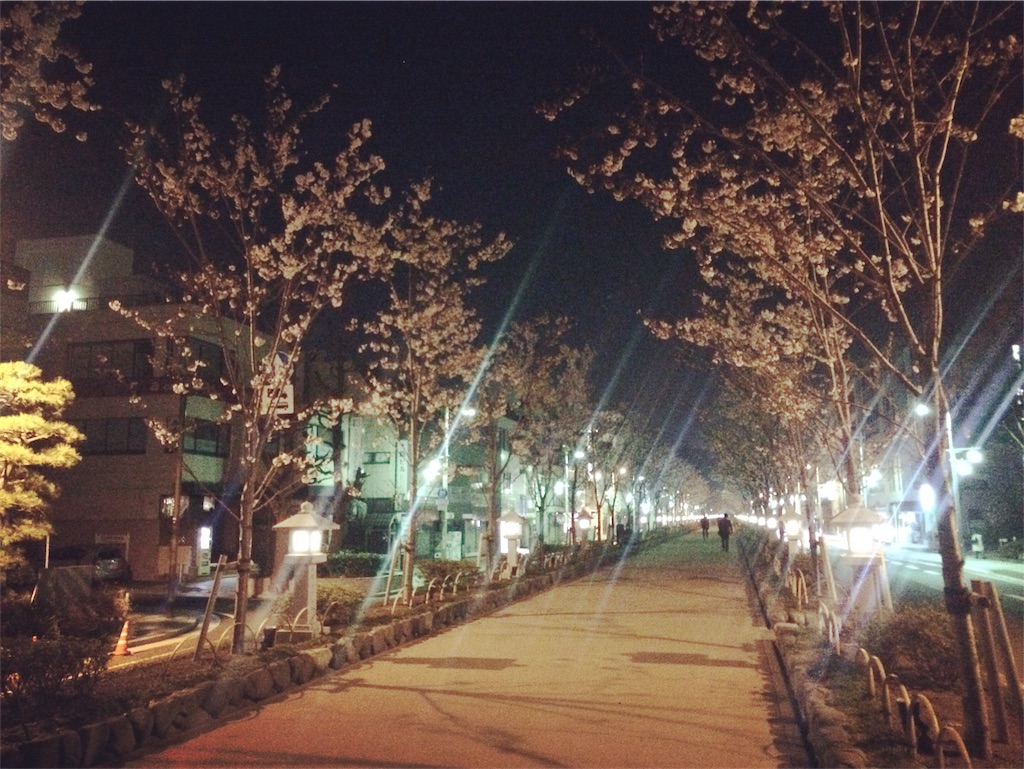 f:id:trail1048:20180329083729j:image