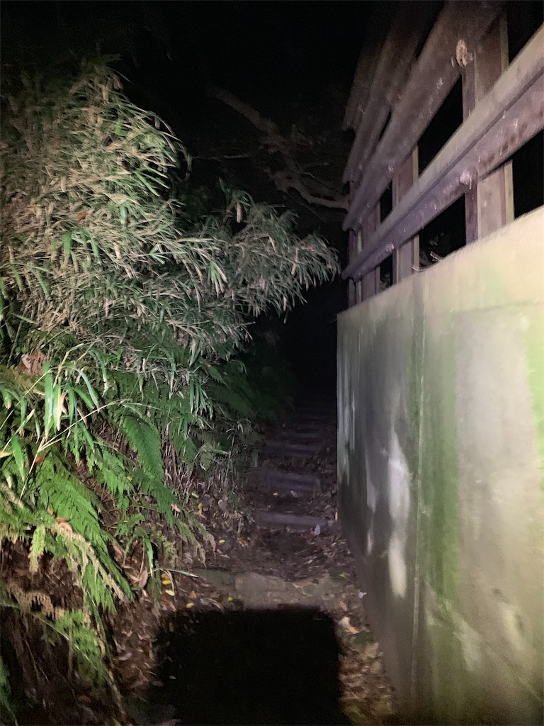f:id:trail1048:20181116080538j:plain f:id:trail1048:20181116080538j:plain