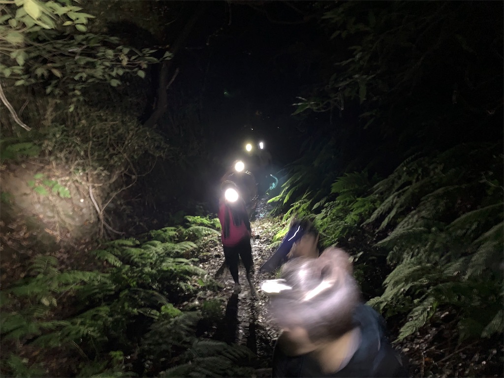 f:id:trail1048:20181116080559j:plain