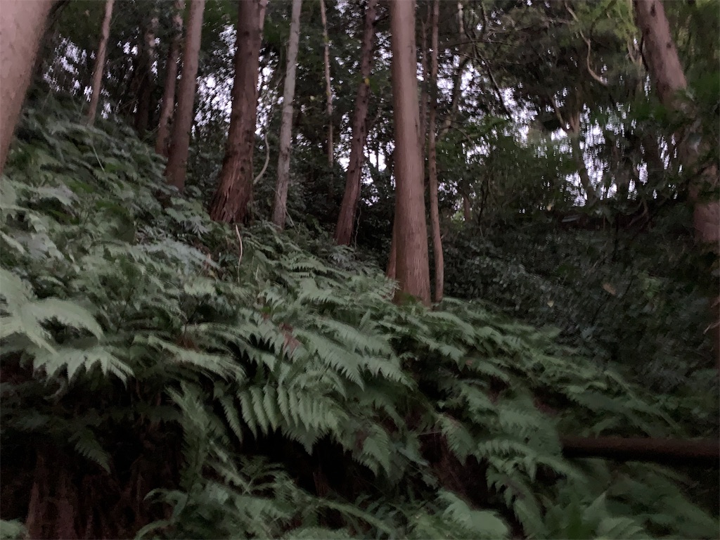 f:id:trail1048:20181116080606j:image