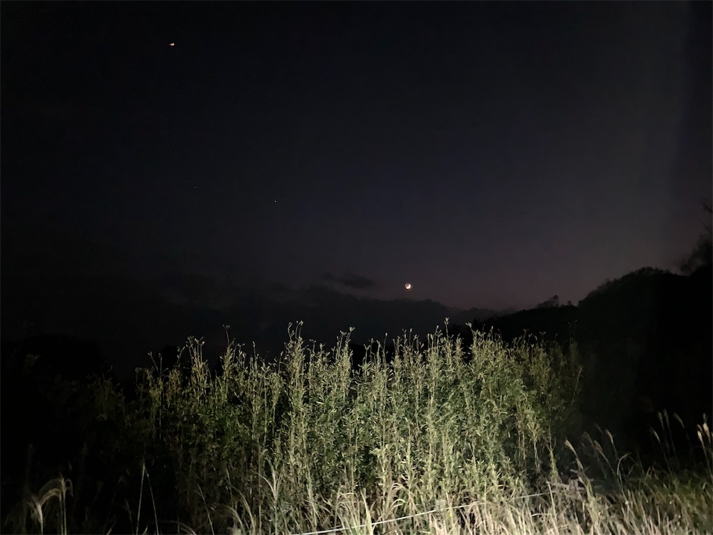 f:id:trail1048:20181116080705j:plain f:id:trail1048:20181116080705j:plain