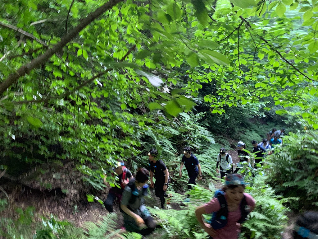 f:id:trail1048:20190531083839j:image