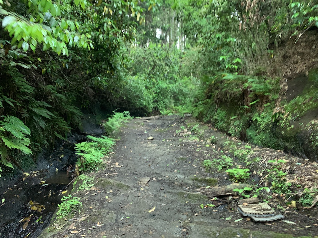 f:id:trail1048:20190531083847j:image