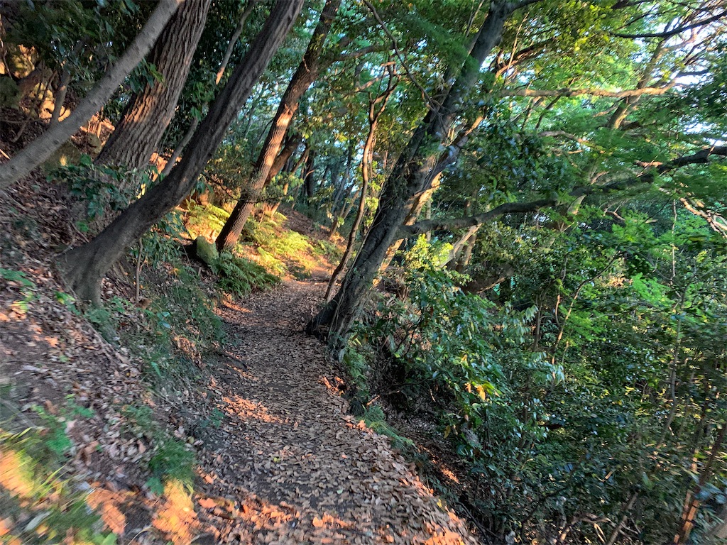 f:id:trail1048:20190531083854j:image