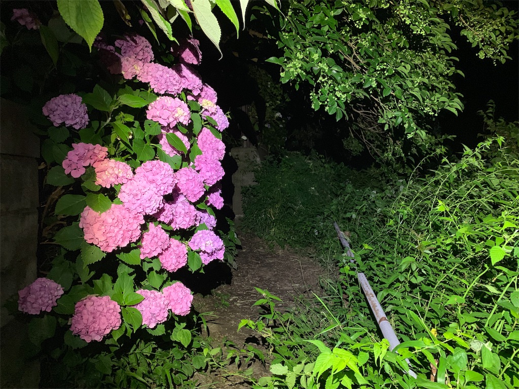 f:id:trail1048:20190621085353j:image f:id:trail1048:20190621085353j:image