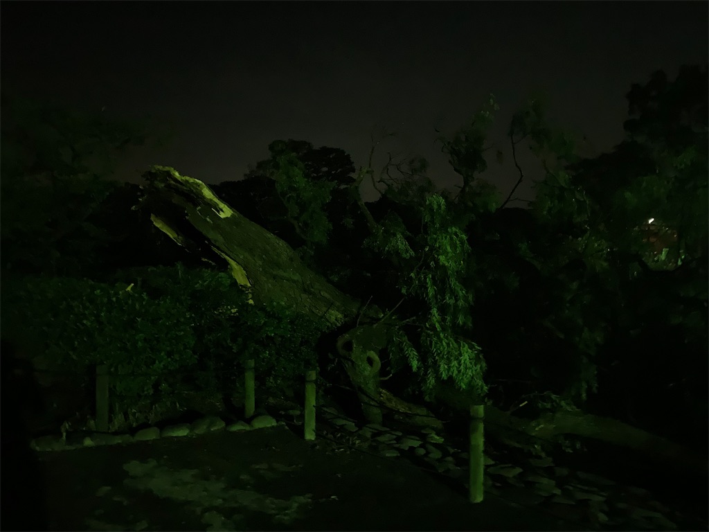 f:id:trail1048:20190912090114j:image