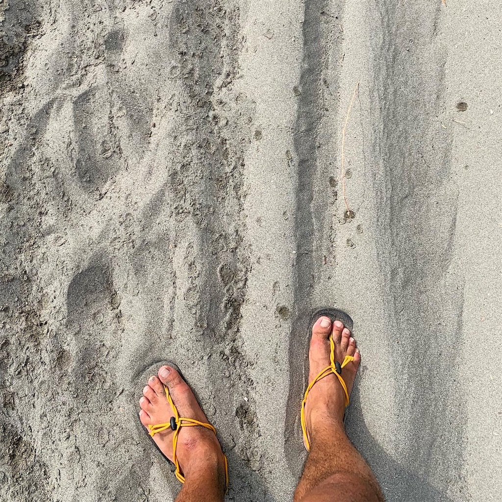 f:id:trail1048:20200820064630j:image f:id:trail1048:20200820064630j:image