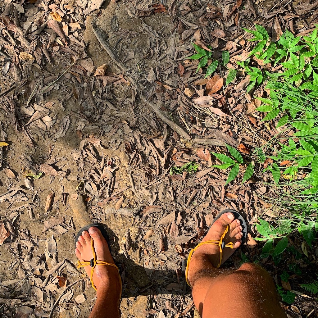 f:id:trail1048:20200820064641j:image f:id:trail1048:20200820064641j:image