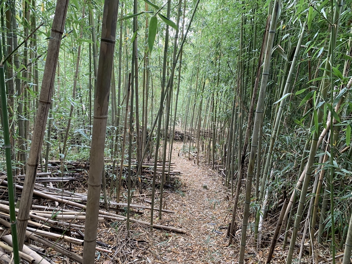 f:id:trail1048:20220215202220j:plain