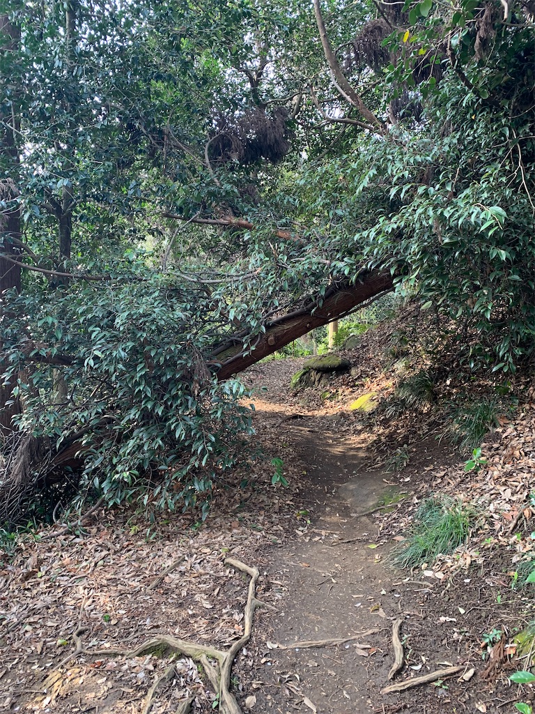 f:id:trail1048:20220509080118j:image f:id:trail1048:20220509080118j:image