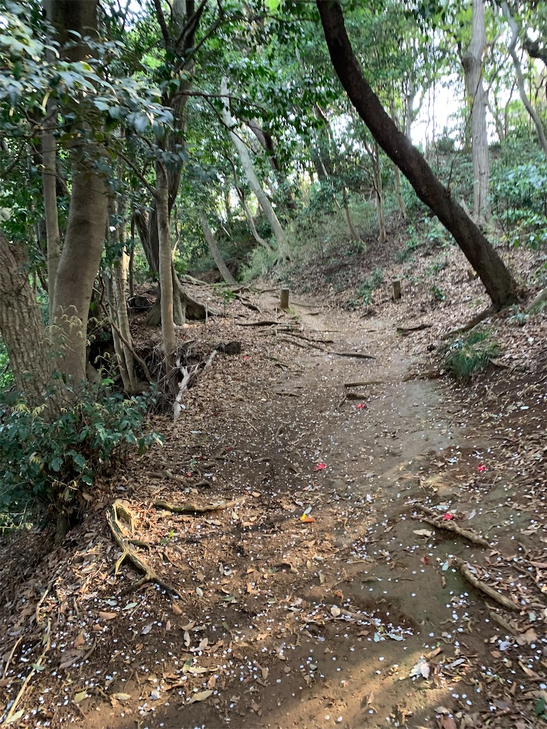 f:id:trail1048:20220509080135j:image f:id:trail1048:20220509080135j:image