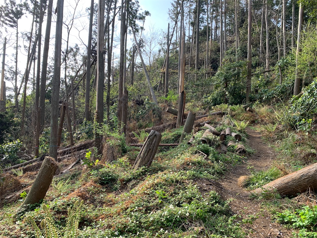 f:id:trail1048:20220509080314j:image f:id:trail1048:20220509080314j:image