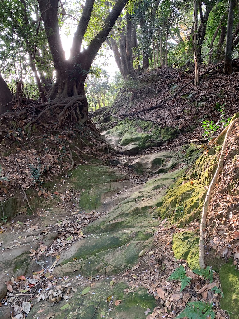 f:id:trail1048:20220509080335j:image f:id:trail1048:20220509080335j:image