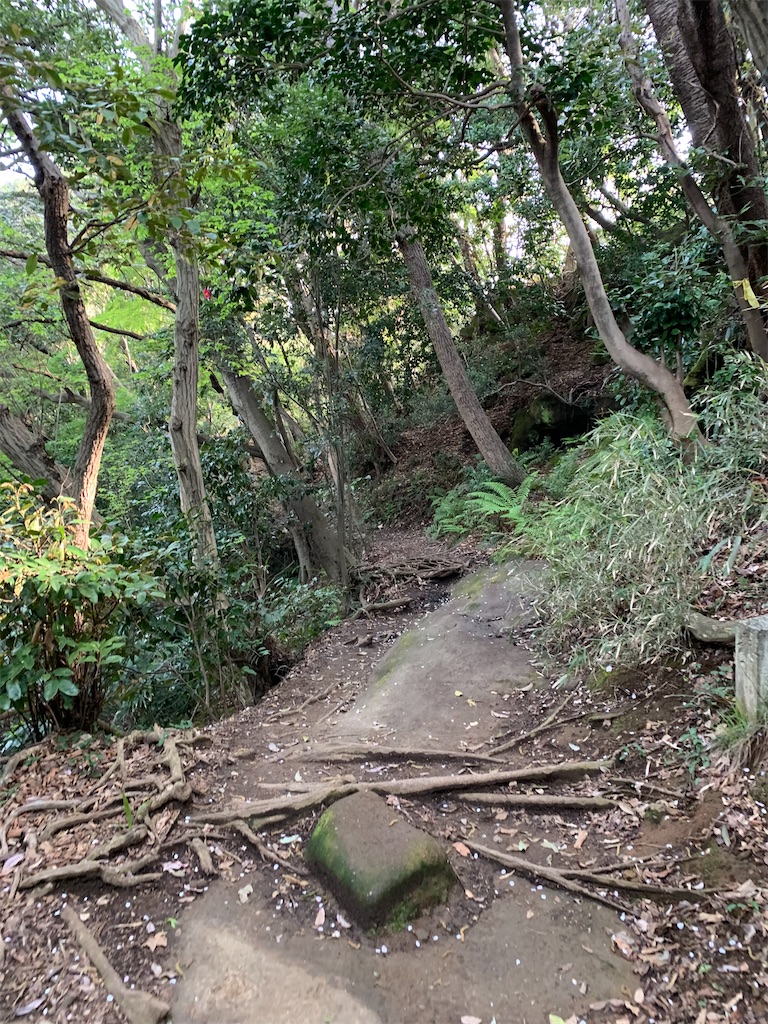 f:id:trail1048:20220509080341j:image f:id:trail1048:20220509080341j:image