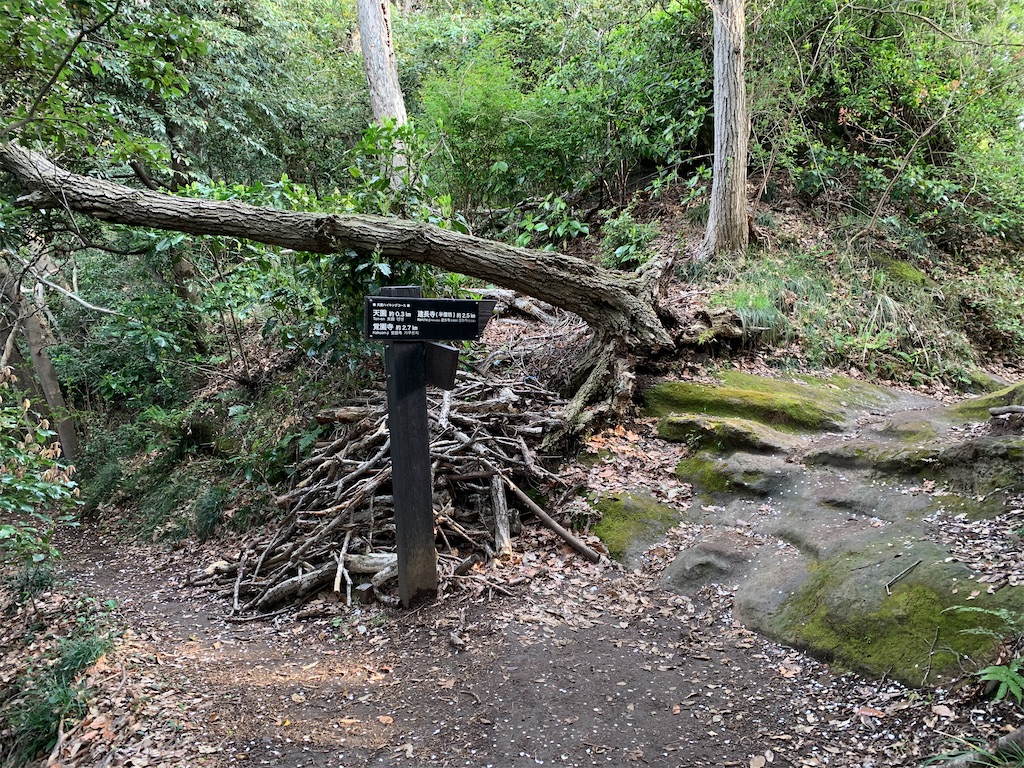 f:id:trail1048:20220509080802j:image f:id:trail1048:20220509080802j:image