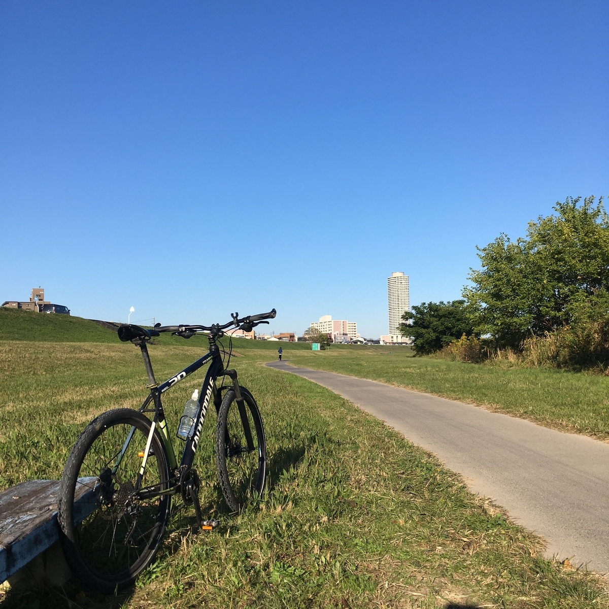 庄内 緑地 自転車