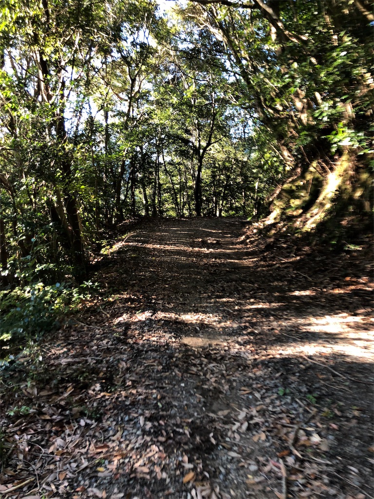 f:id:trailrunnerjp:20181206194548j:image