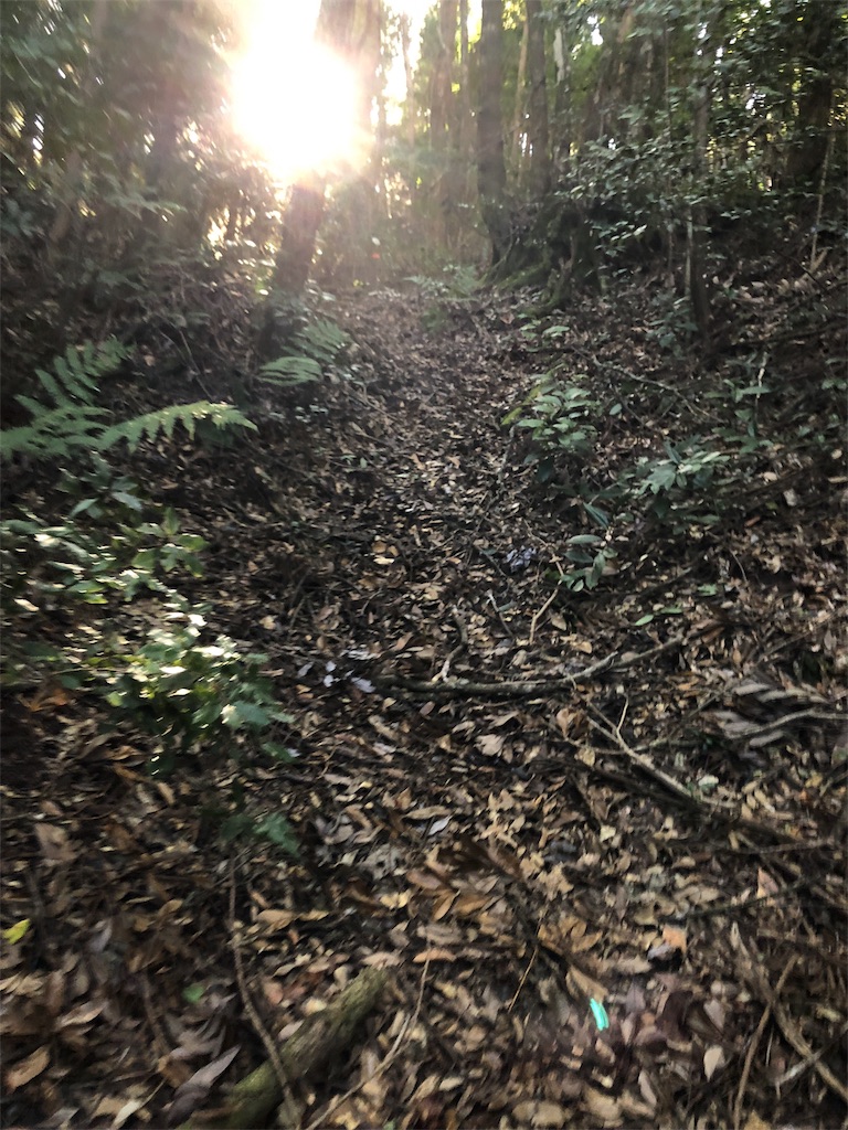 f:id:trailrunnerjp:20181206194707j:image