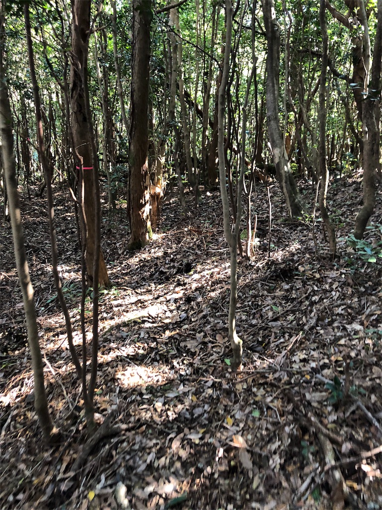 f:id:trailrunnerjp:20181206194734j:image