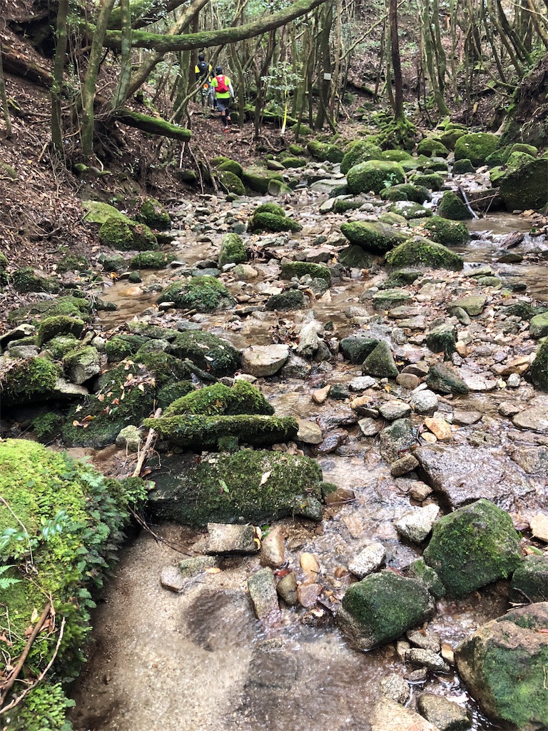 f:id:trailrunnerjp:20181206194943j:image