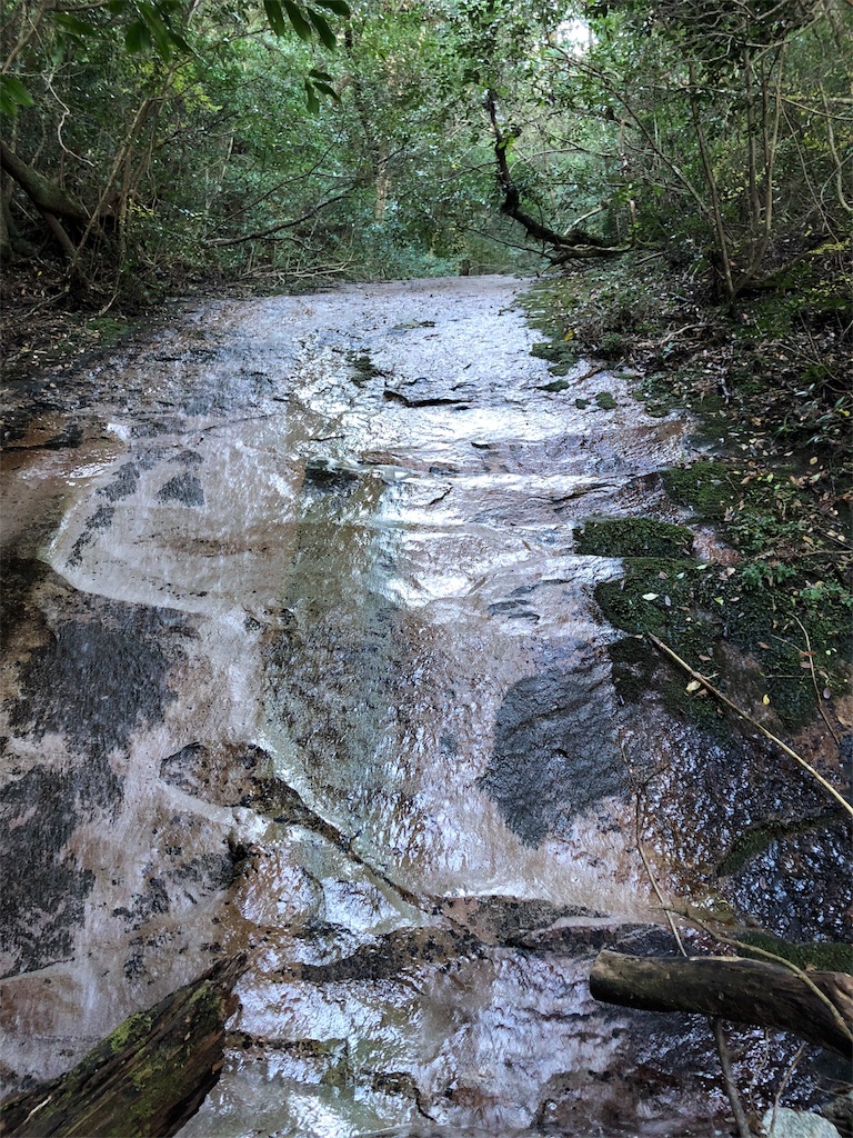 f:id:trailrunnerjp:20181206195019j:image
