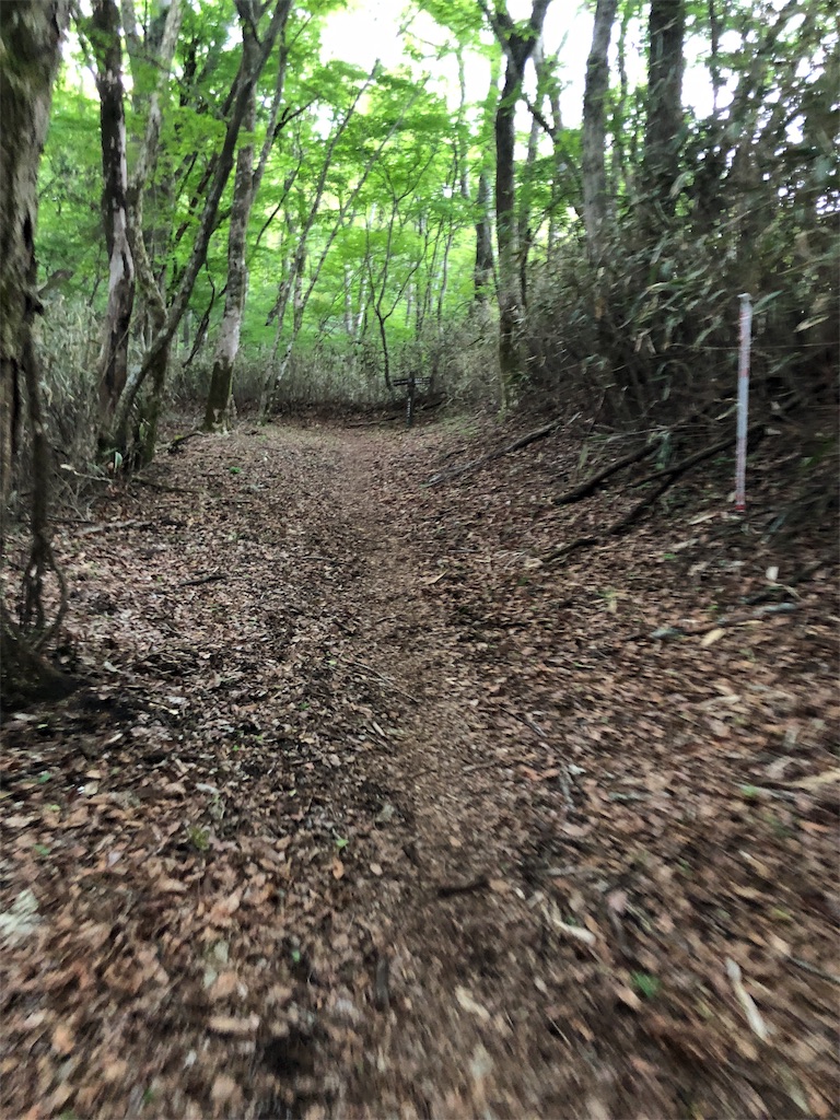 f:id:trailrunnerjp:20190513091851j:image