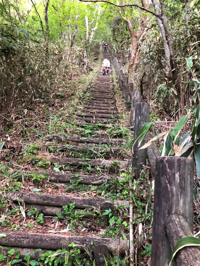 f:id:trailrunnerjp:20190513182147j:image