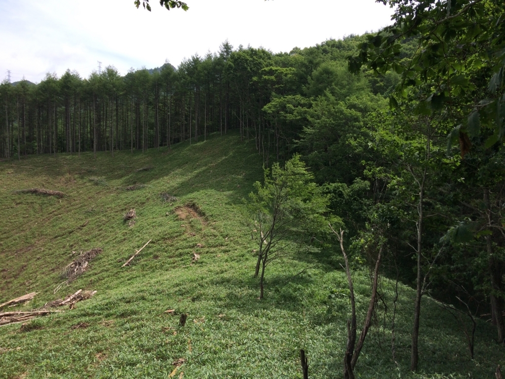 f:id:trailtravel:20170724000937j:plain f:id:trailtravel:20170724000937j:plain