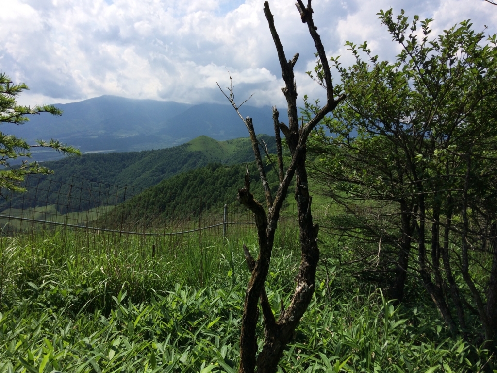 f:id:trailtravel:20170724003734j:plain f:id:trailtravel:20170724003734j:plain