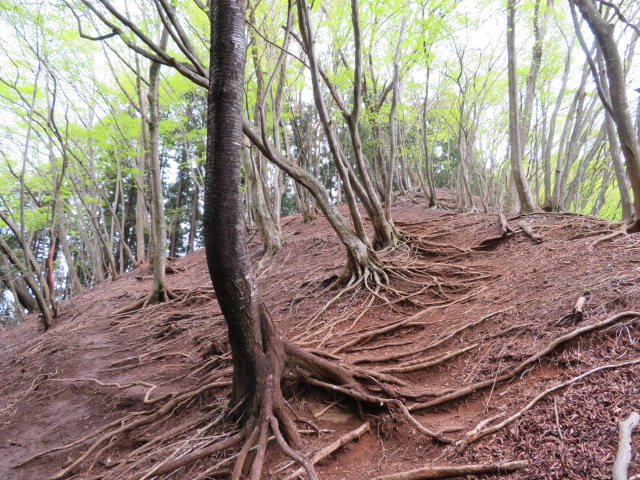 f:id:trailtravel:20191007004802j:plain