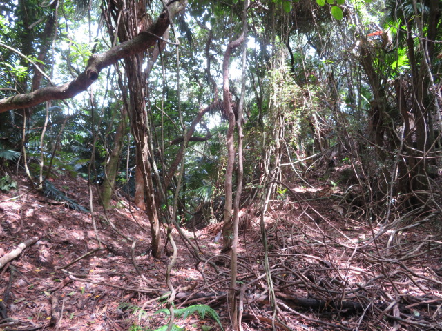 f:id:trailtravel:20200418152047j:plain