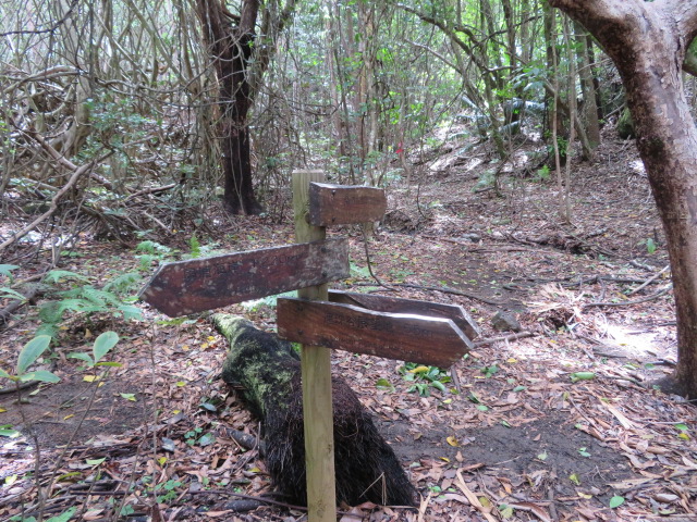 f:id:trailtravel:20200418152426j:plain