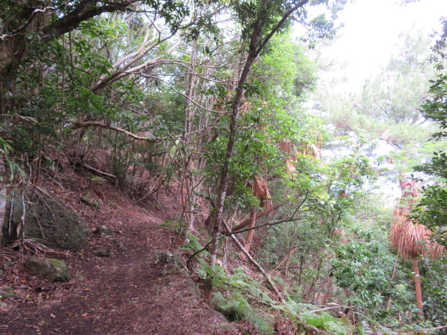 f:id:trailtravel:20200418172739j:plain