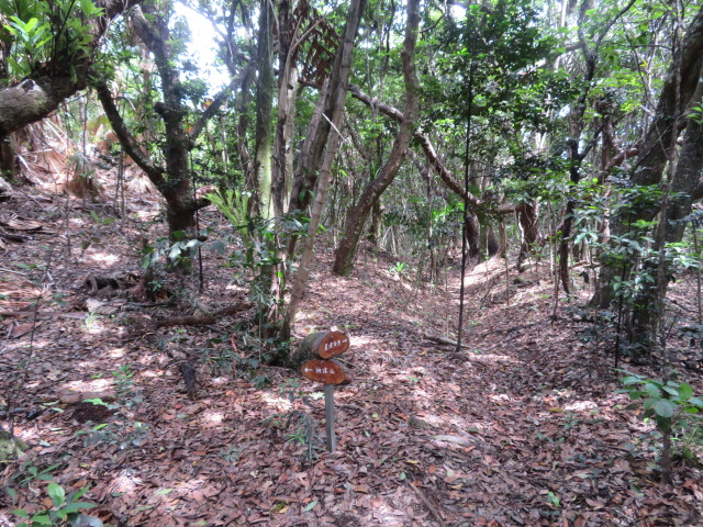 f:id:trailtravel:20200418174043j:plain