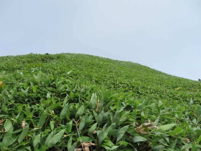 f:id:trailtravel:20200930220143j:plain f:id:trailtravel:20200930220143j:plain