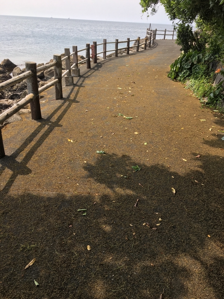 f:id:train49:20190124232553j:plain f:id:train49:20190124232553j:plain
