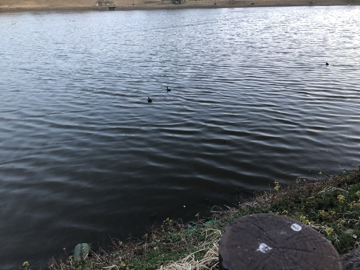 f:id:train49:20190321223328j:plain f:id:train49:20190321223328j:plain