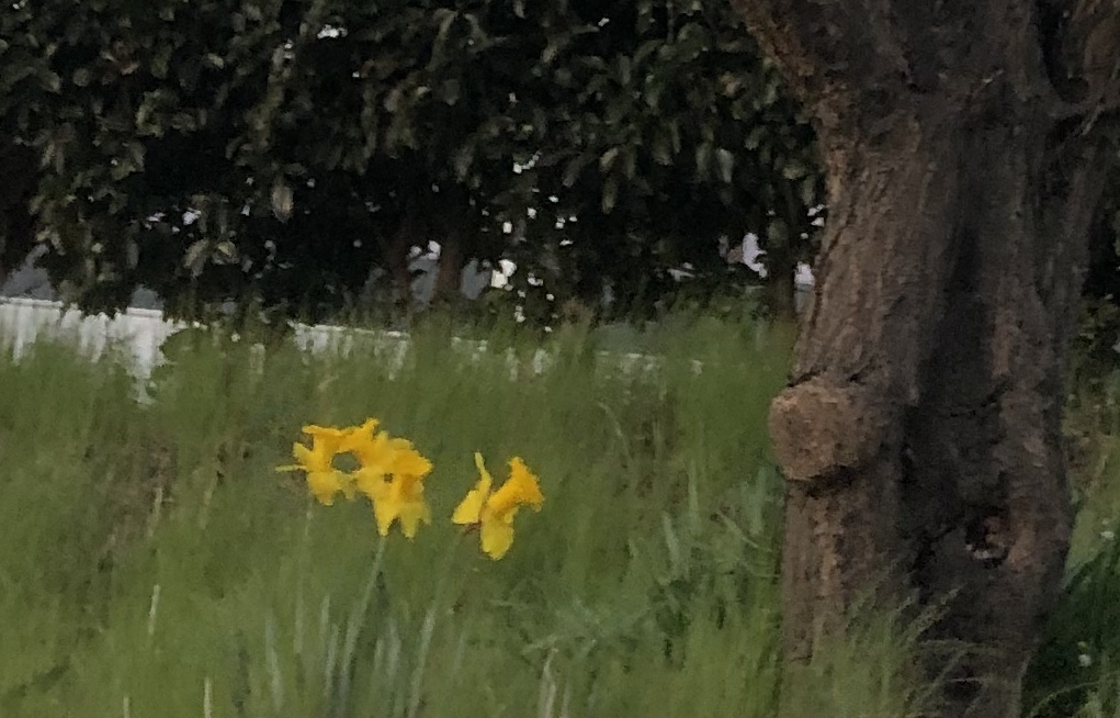 f:id:train49:20190321223657j:plain f:id:train49:20190321223657j:plain