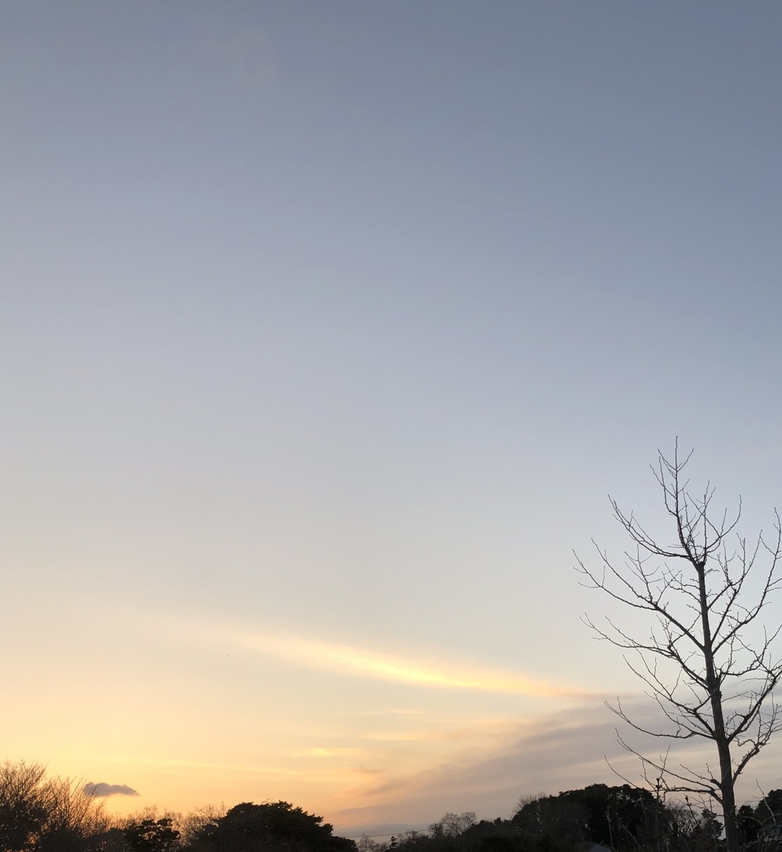f:id:train49:20190321223713j:plain f:id:train49:20190321223713j:plain