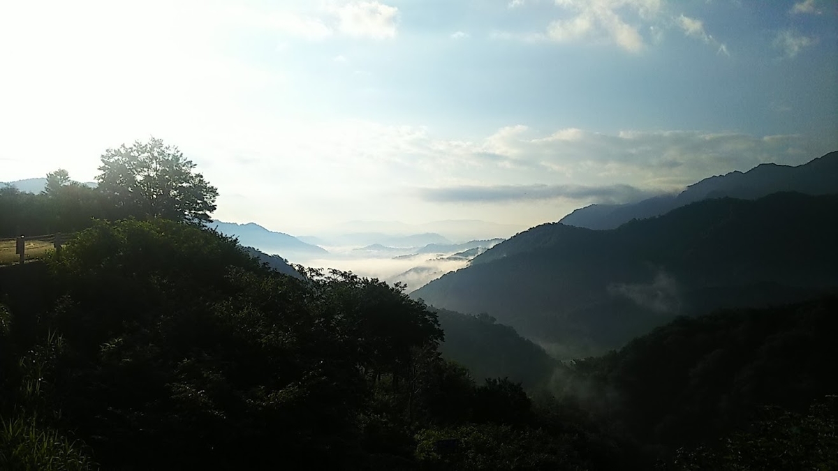 f:id:train_train0702:20190811152106j:plain