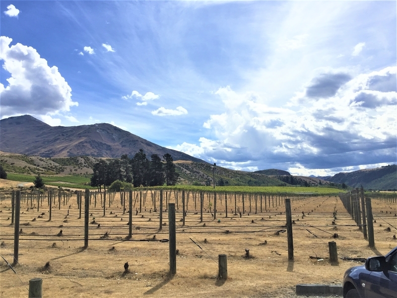ニュージーランド・クイーンズタウン・ペリグリン・ワインズ(Peregrine Wines)